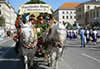 Infos zum traditionellen Trachten und Schtzen Umzug